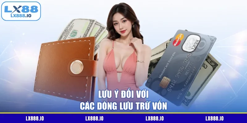 Lưu ý đối với các dòng lưu trữ vốn
