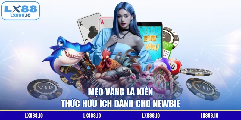 Mẹo vàng là kiến thức hữu ích dành cho newbie