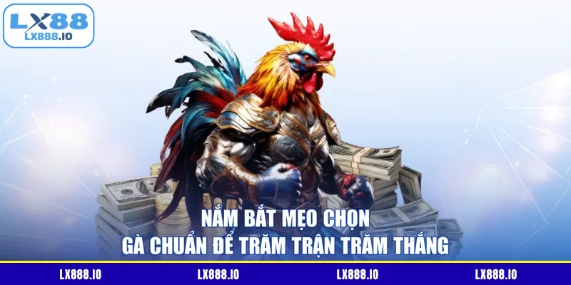 Nắm bắt mẹo chọn gà chuẩn để trăm trận trăm thắng