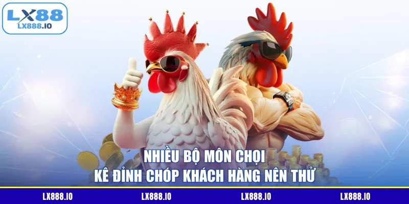 Nhiều bộ môn chọi kê đỉnh chóp khách hàng nên thử